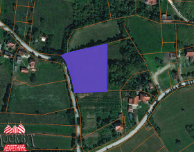 Detaljnije...